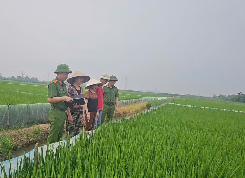 Phòng Cảnh sát Hình sự: Tiếp tục cảnh báo về việc người dân tự ý giăng điện bẫy chuột dẫn đến hậu quả chết người
